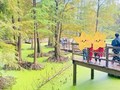 -青山湖景区
