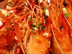 -杨氏青龙虾·羊蝎子(珠江路店)