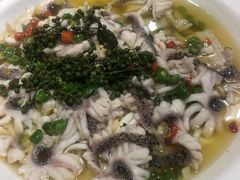 -三猫黑鱼花(南大店)