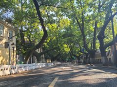 -颐和路民国时期公馆风貌区