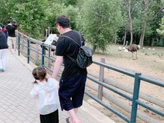 -大连森林动物园