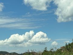 -大围山国家森林公园