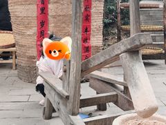 -天目湖山水园