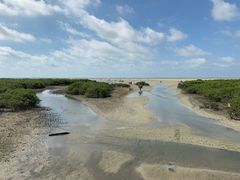 -北海金海湾红树林生态旅游区