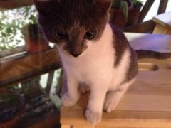 iphone_upload_pic-MIKAKU(万达广场上海宝山店)