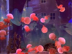 -凯德广场(学府店)