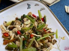 南山野山菌-老幺泉水鸡