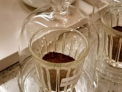 -1/4 ONE QUARTER COFFEE LAB(朝阳大悦城店)