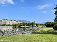 -飞来湖湿地公园