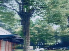 -Club Med地中海俱乐部·桂林度假村