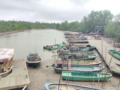 -东寨港红树林旅游区