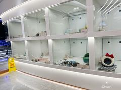 -1013 PET SHOP精品宠物商店(丁香店)