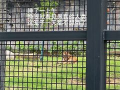 -武汉动物园