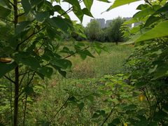 -汉长安城未央宫国家考古遗址公园