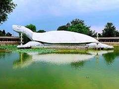 -东方巨龟苑景区