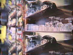 -留香花园(淮海街商业街店)