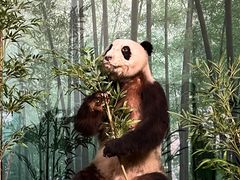 -贵州省博物馆(新馆)