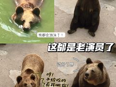 -保定市动物园