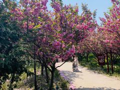 景点-南京银杏湖乐园