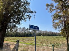 -上海长兴岛郊野公园