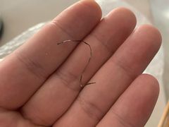 -年记·兴顺斋 牛街清真熟食小吃店