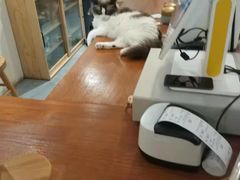 -猫友咖啡店(玉林西路店)