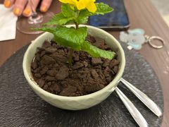 -Shantek象提南亚西餐厅&Bistro(淮海中路店)