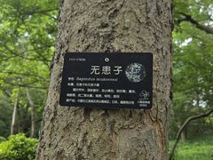 -上海植物园-4号门售票处