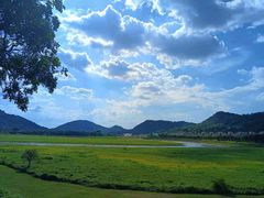 -风云岭森林公园