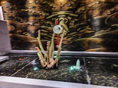 -大渔之观(安贞店)