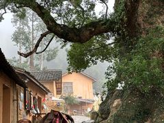 -杨家堂村