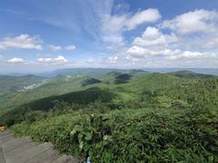 -武陵山森林公园
