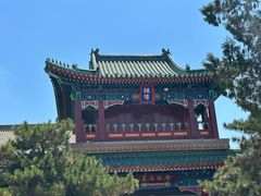 -天津大悲禅院
