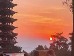 -缙云山景区