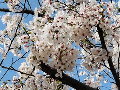 -龙美术馆西岸馆-停车场