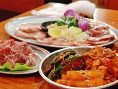 -大阪烧肉BAKA一代(十亩地店)