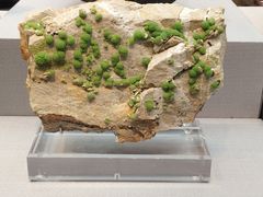 -湖南省地质博物馆