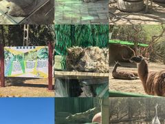 -青藏高原野生动物园