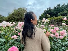 -人民公园(罗湖区)