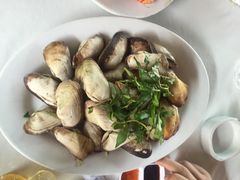-越海渔村