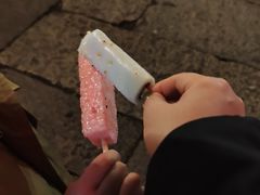 -咬不得高祖生煎·简餐(天城商业中心店)