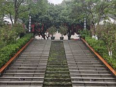 -广州神农草堂中医药博物馆