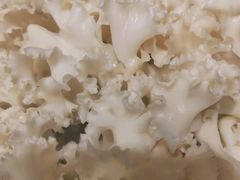 -福娣·金沙银贝海鲜火锅