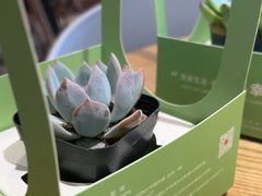 -四季餐厅(华苑店)