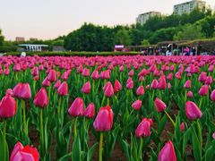 -长春公园(普阳街道)