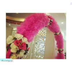 -苗方清颜祛痘·皮肤管理