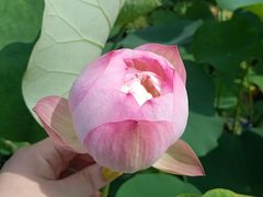 -南戴河国际娱乐中心