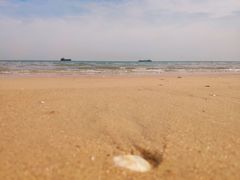 -刘家湾赶海园