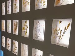-予厘·推拿按摩·精油SPA(憩舍长安店)