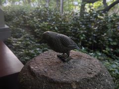 -海南清水湾莱佛士酒店